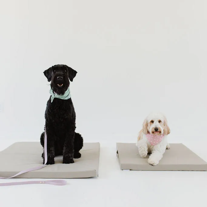 Pebble | Dog Bed