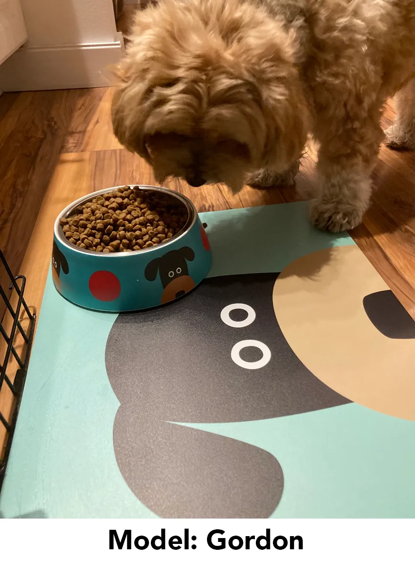 Peeking Doggie Pet Bowl Placemat