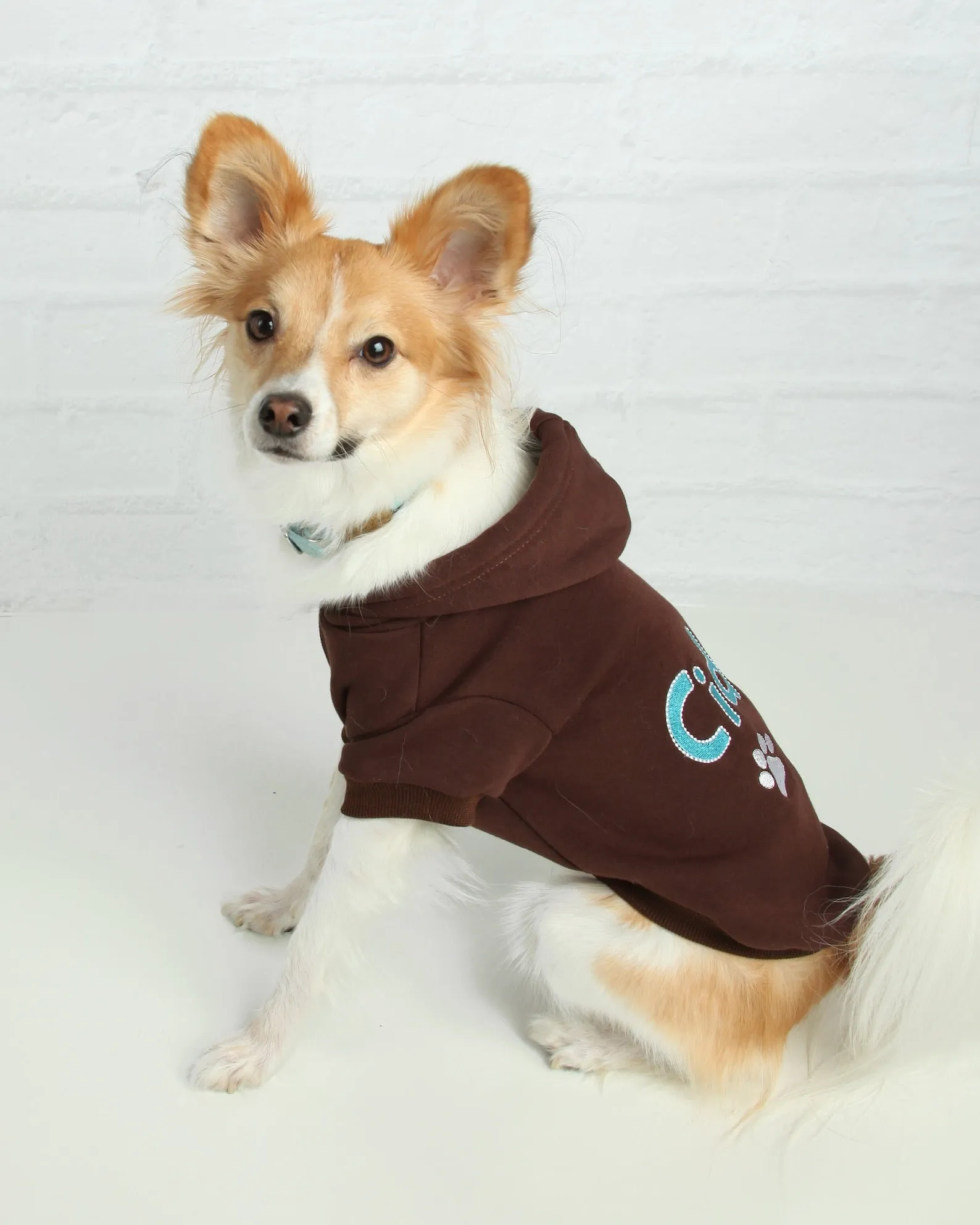 Personalized Dog Hoodie - Embroidered Name Pet Hoodie - Personalized Dog Sweatshirt - Puppy Clothing - Personalized Dog Clothes Outdoor Dog