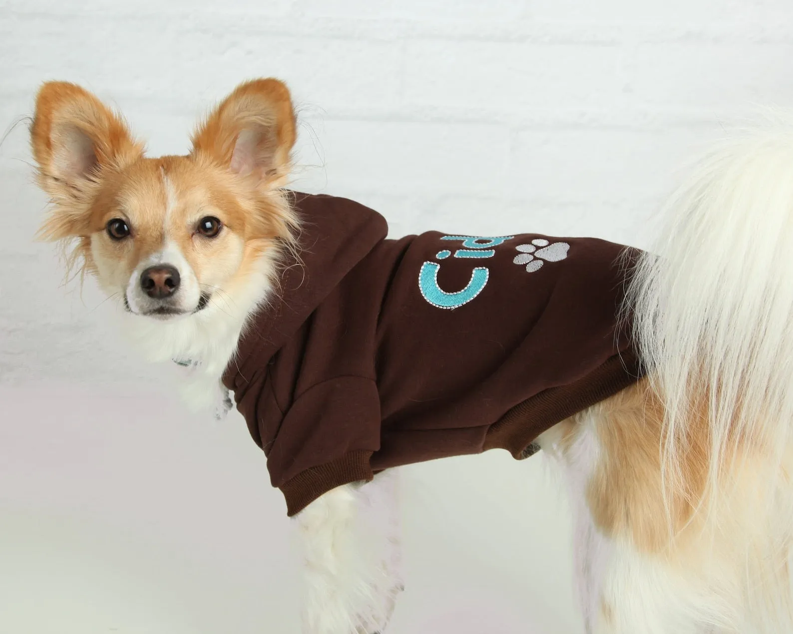 Personalized Dog Hoodie - Embroidered Name Pet Hoodie - Personalized Dog Sweatshirt - Puppy Clothing - Personalized Dog Clothes Outdoor Dog