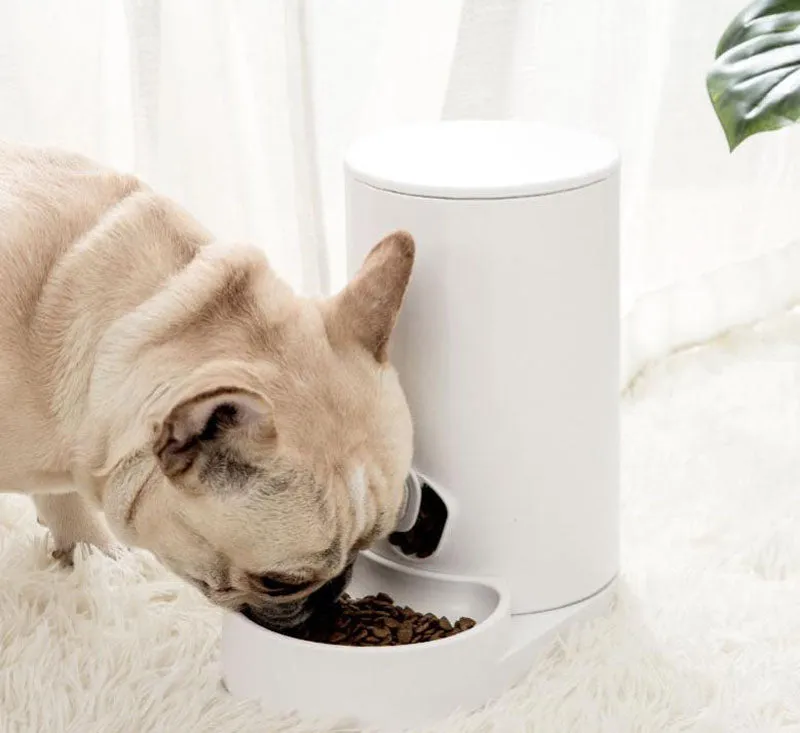 Pet automatic drinking water feeder smart waterer