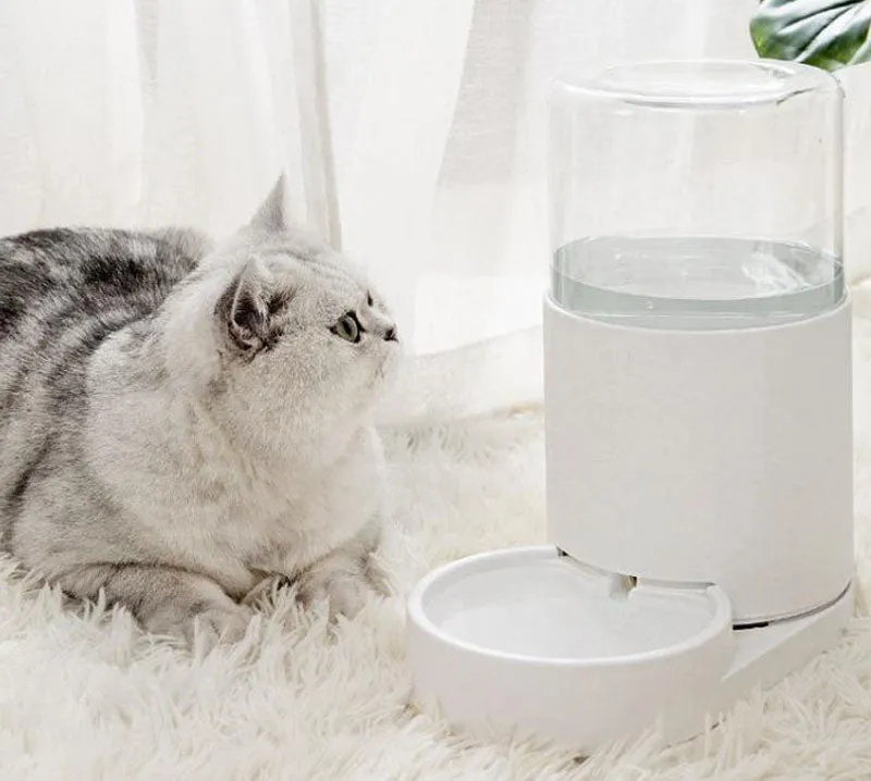 Pet automatic drinking water feeder smart waterer
