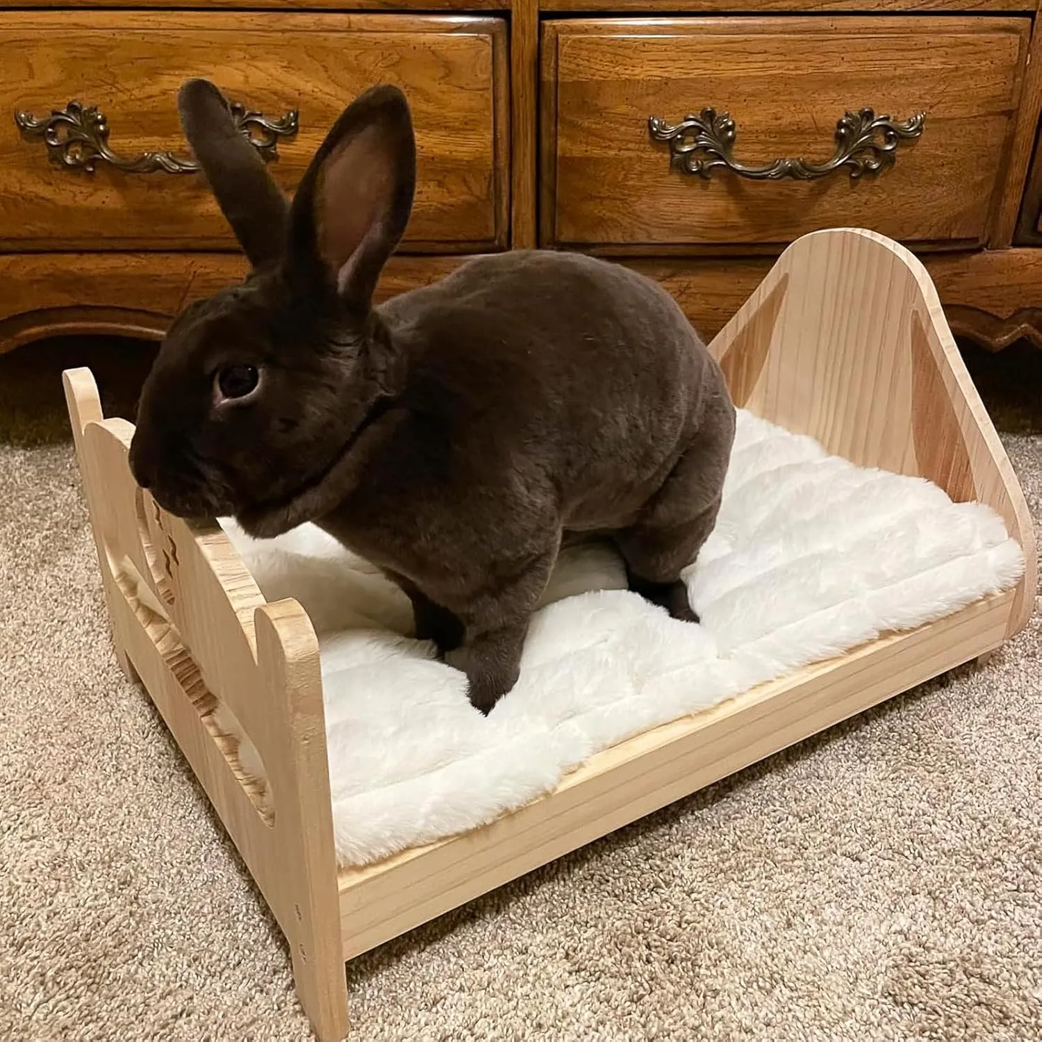 Pet Bed Extra Small 12 x 18 for Crate or Cage Fits Tiny Dogs And Indoor Cats With Rabbit,Washable XS Puppy Crate Bed Comfy Kennel Pad Anti-Slip Doggy Sleeping Mat Cushion for Mini Small Breeds,Cream