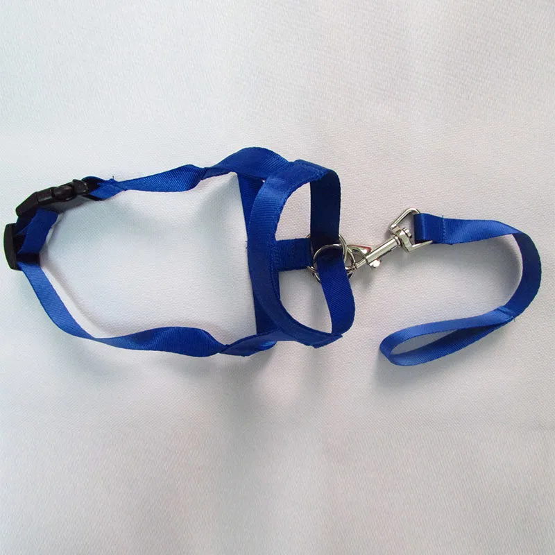 Pet Safe Gentle Halt Head Collar