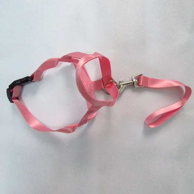 Pet Safe Gentle Halt Head Collar