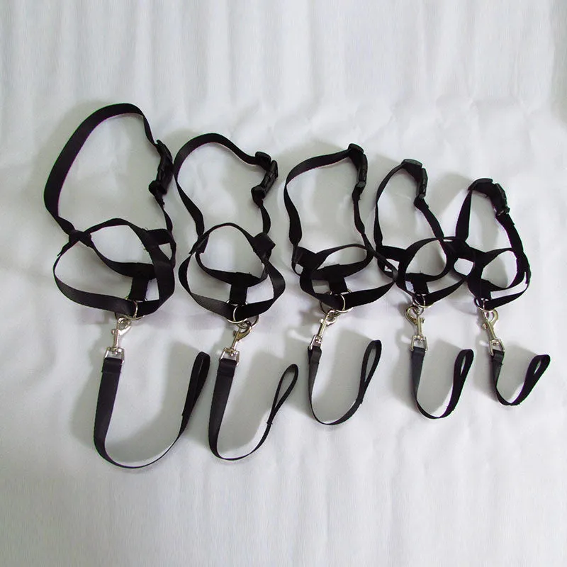 Pet Safe Gentle Halt Head Collar
