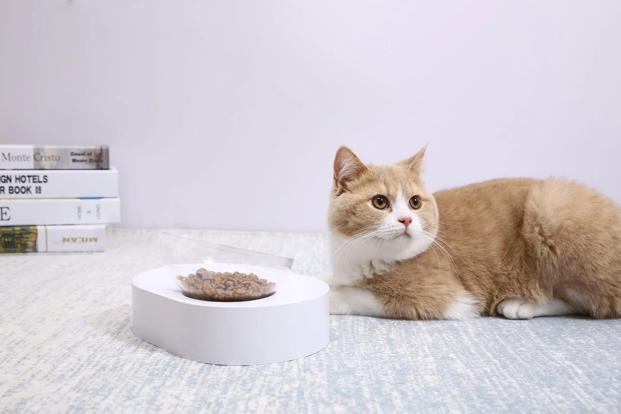 PETKIT Adjustable Feeding Bowl [Single]