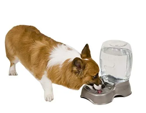 Petmate Pet Cafe Waterer Cat and Dog Water Dispenser 4 Sizes