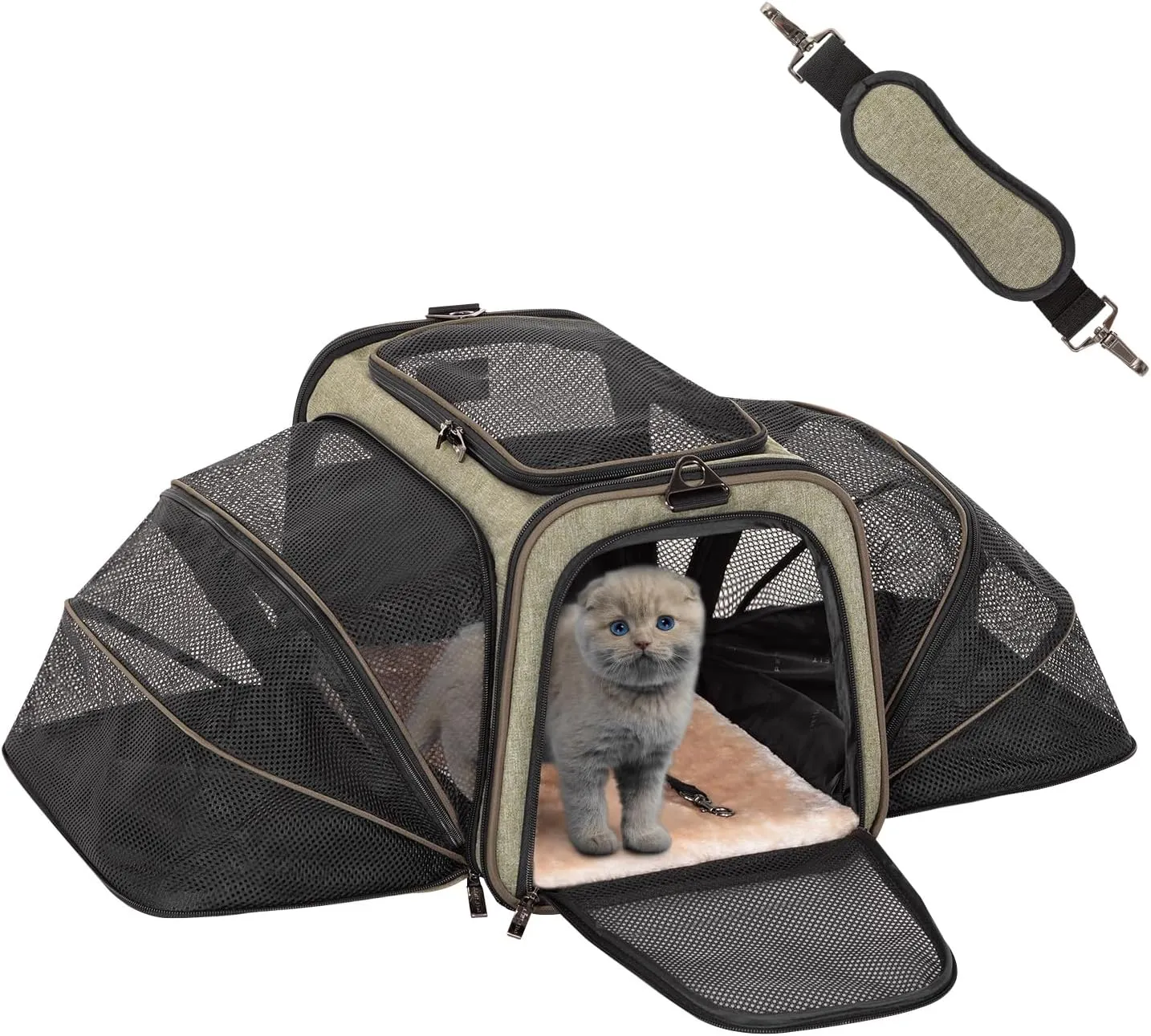 PETSFIT Expandable Cat Carrier Small Dog Carriers Airline with 2 Extension