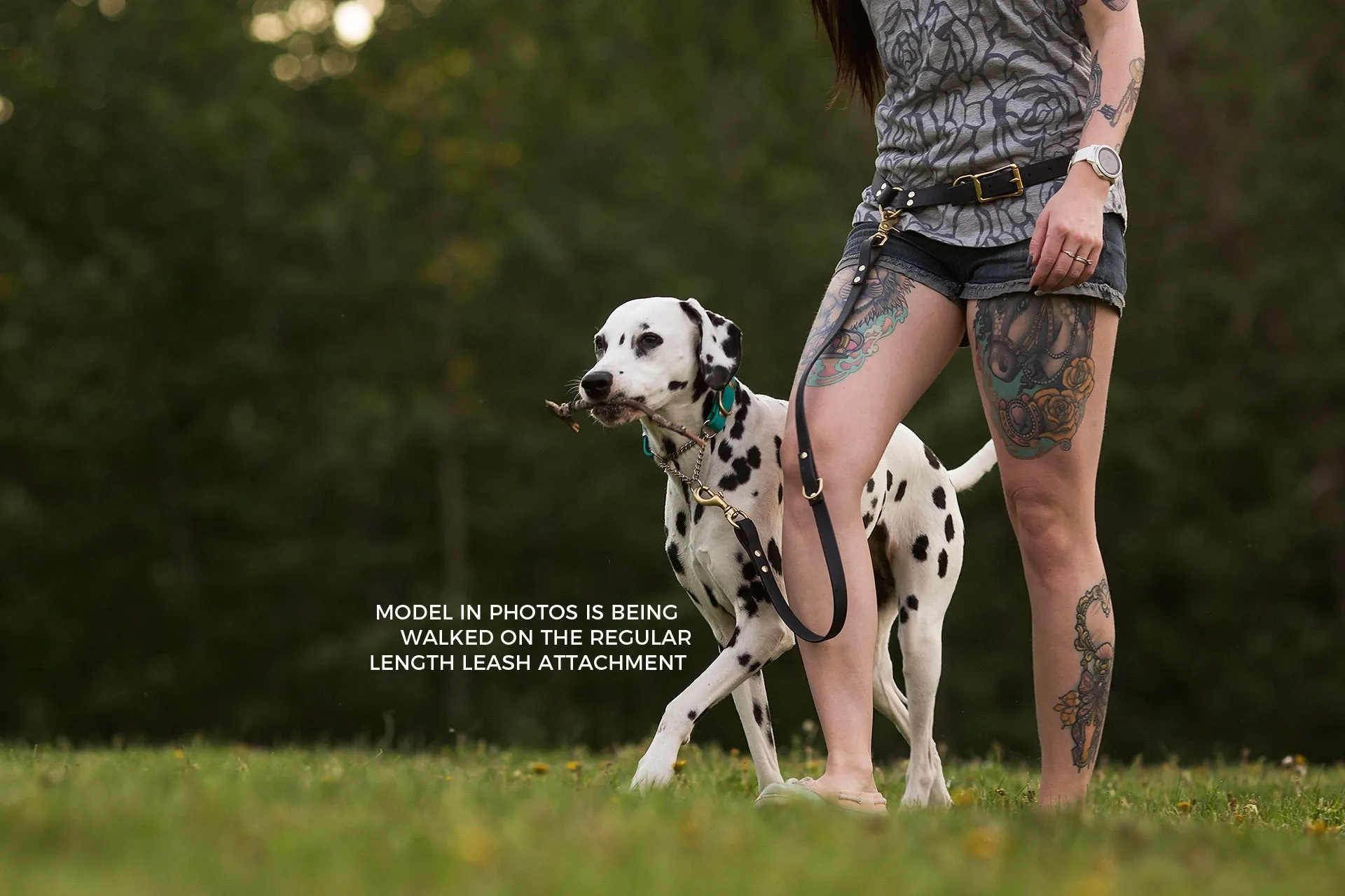 PREMADE COLLECTION - Black & Brass Convertible Biothane Hands-Free Waist Leash