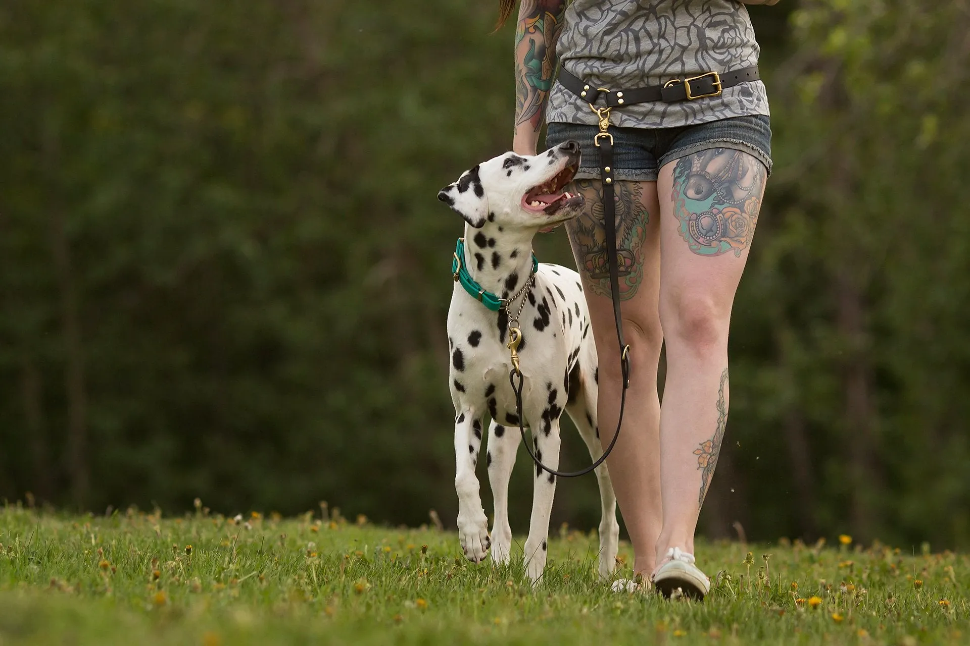 PREMADE COLLECTION - Black & Brass Convertible Biothane Hands-Free Waist Leash