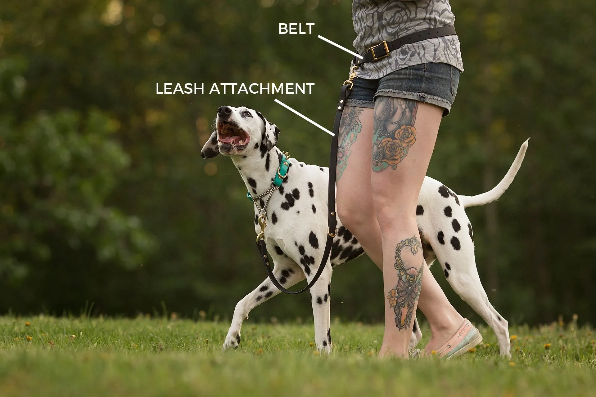 PREMADE COLLECTION - Black & Brass Convertible Biothane Hands-Free Waist Leash