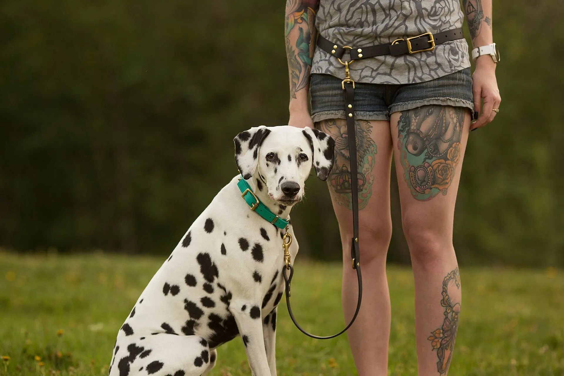 PREMADE COLLECTION - Black & Brass Convertible Biothane Hands-Free Waist Leash