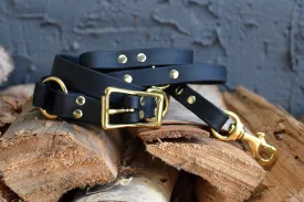 PREMADE COLLECTION - Black & Brass Convertible Biothane Hands-Free Waist Leash