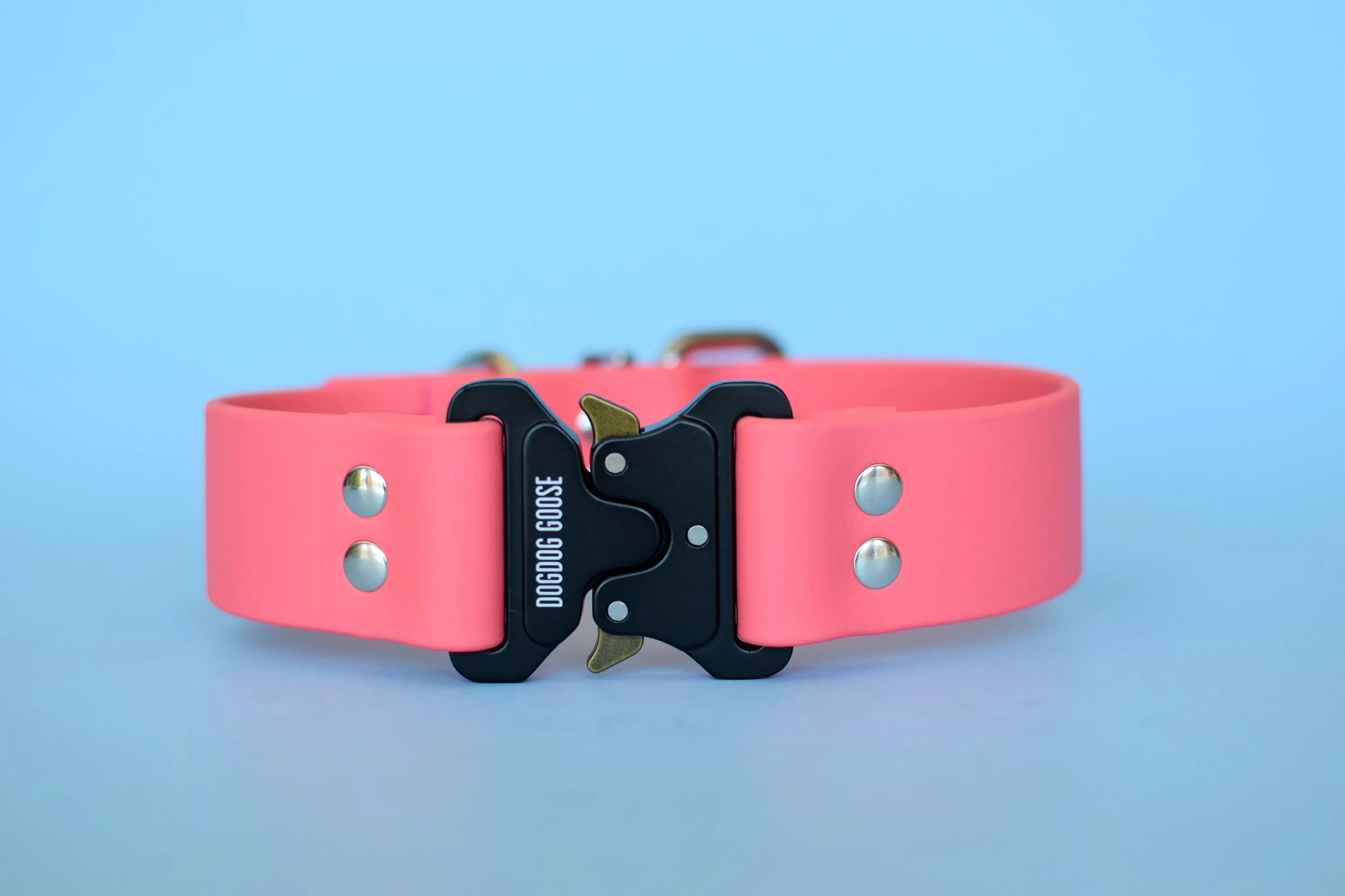 PREMADE COLLECTION - Coral & Nickel Biothane Dog Collar
