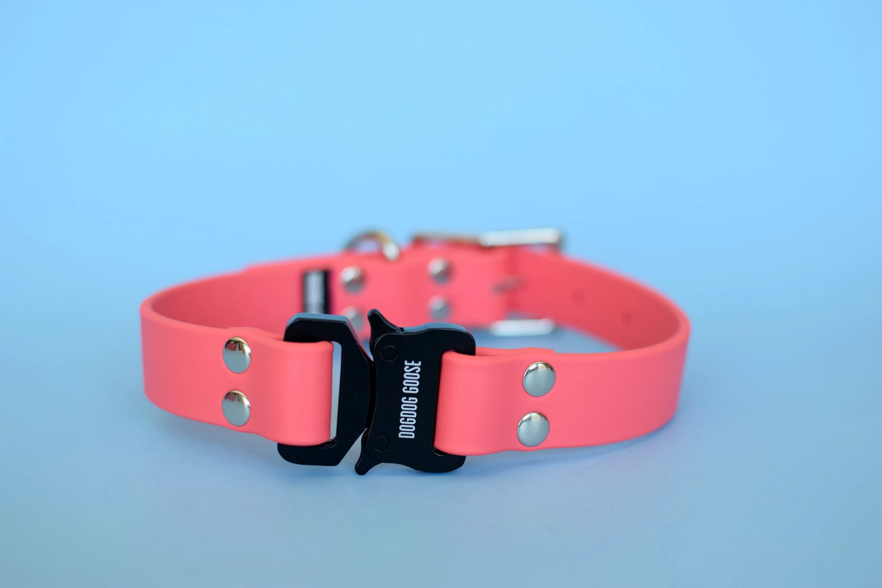 PREMADE COLLECTION - Coral & Nickel Biothane Dog Collar