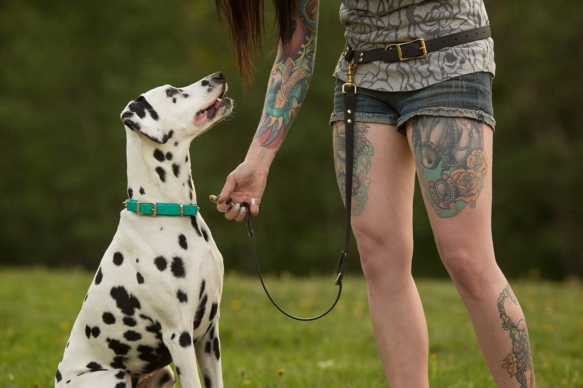 PREMADE COLLECTION - Fuchsia & Brass Convertible Biothane Hands-Free Waist Leash
