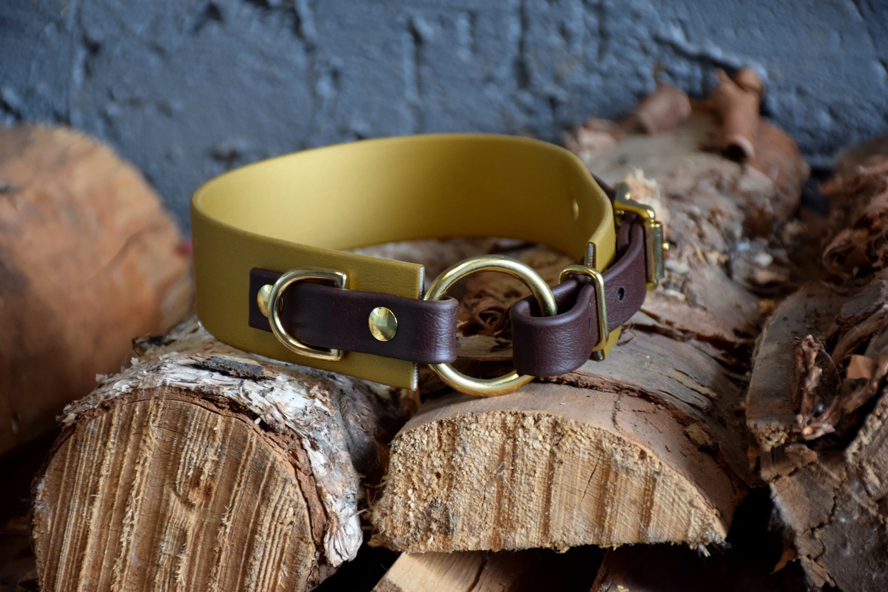 PREMADE COLLECTION - Gold & Chocolate with Brass, Osgiliath Biothane Dog Collar