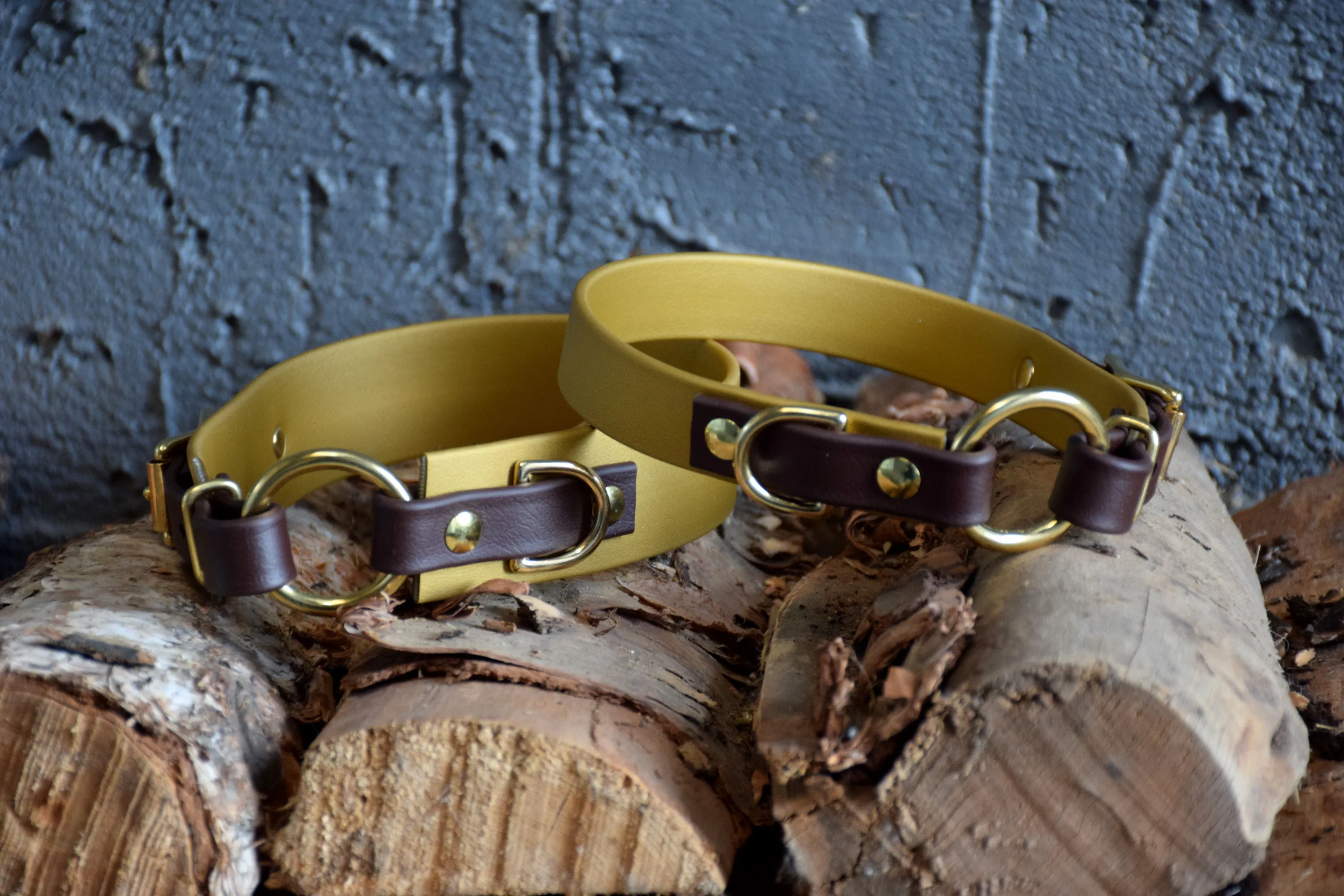 PREMADE COLLECTION - Gold & Chocolate with Brass, Osgiliath Biothane Dog Collar