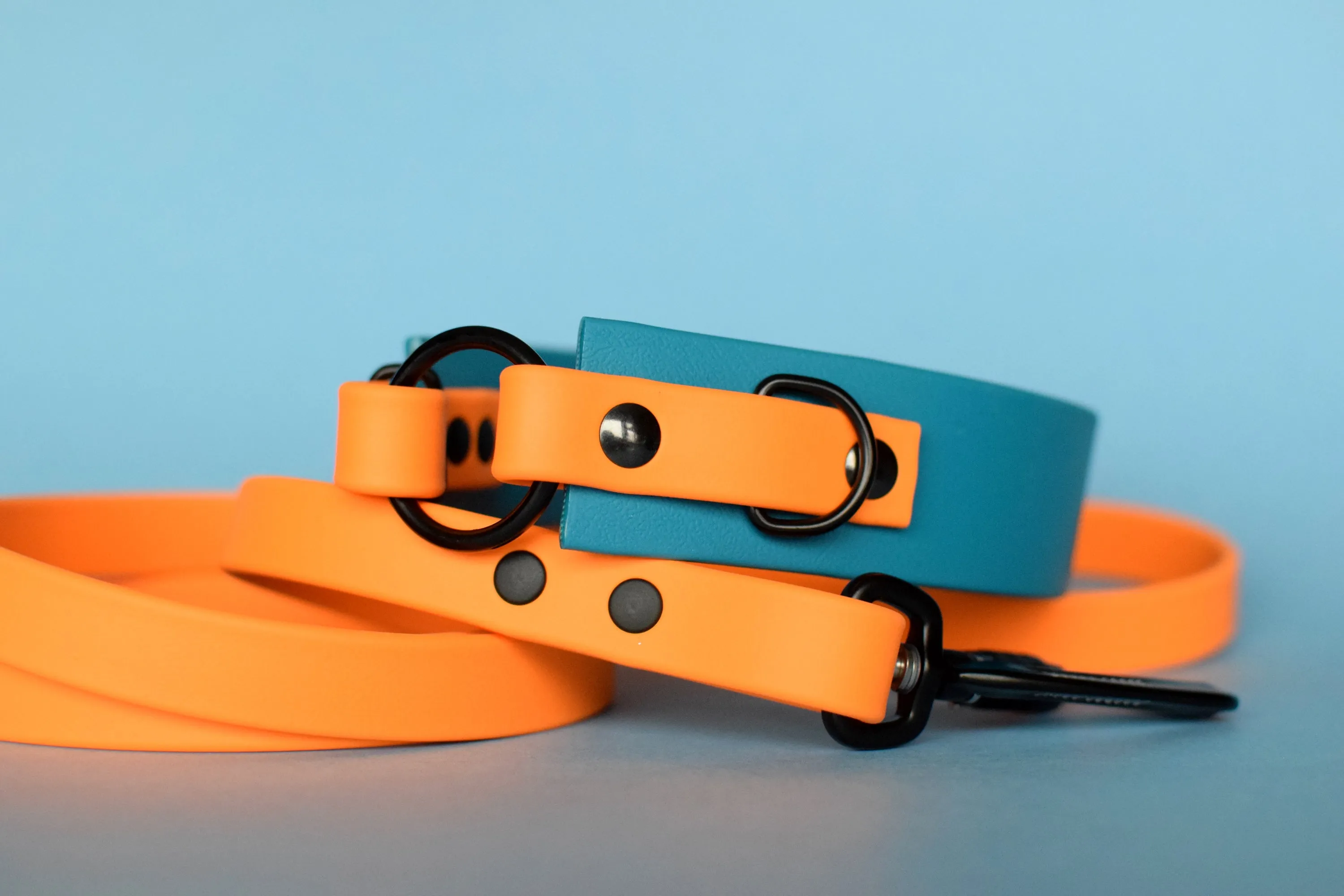 PREMADE COLLECTION - Lagoon & Mango with Black, Osgiliath Biothane Dog Collar