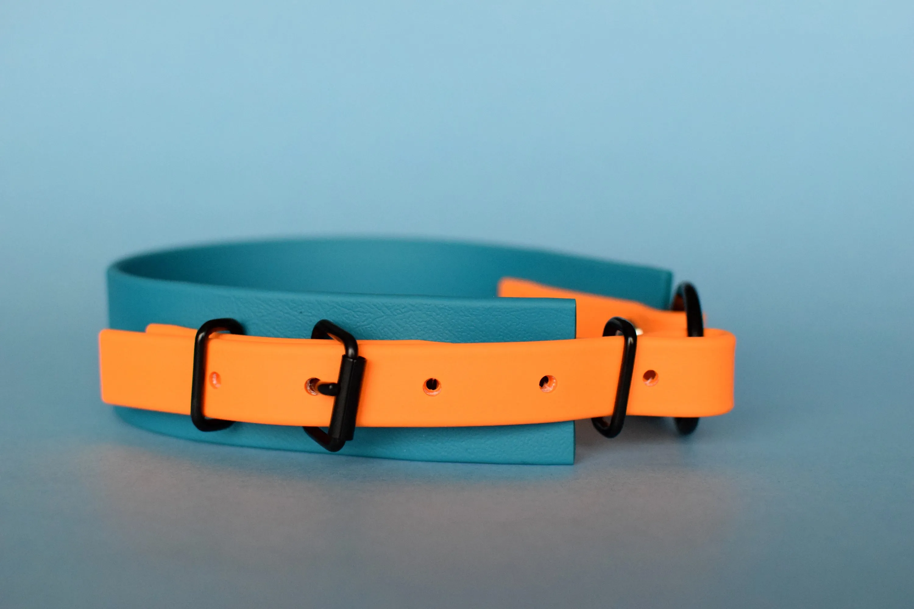 PREMADE COLLECTION - Lagoon & Mango with Black, Osgiliath Biothane Dog Collar