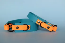 PREMADE COLLECTION - Lagoon & Mango with Black, Osgiliath Biothane Dog Collar