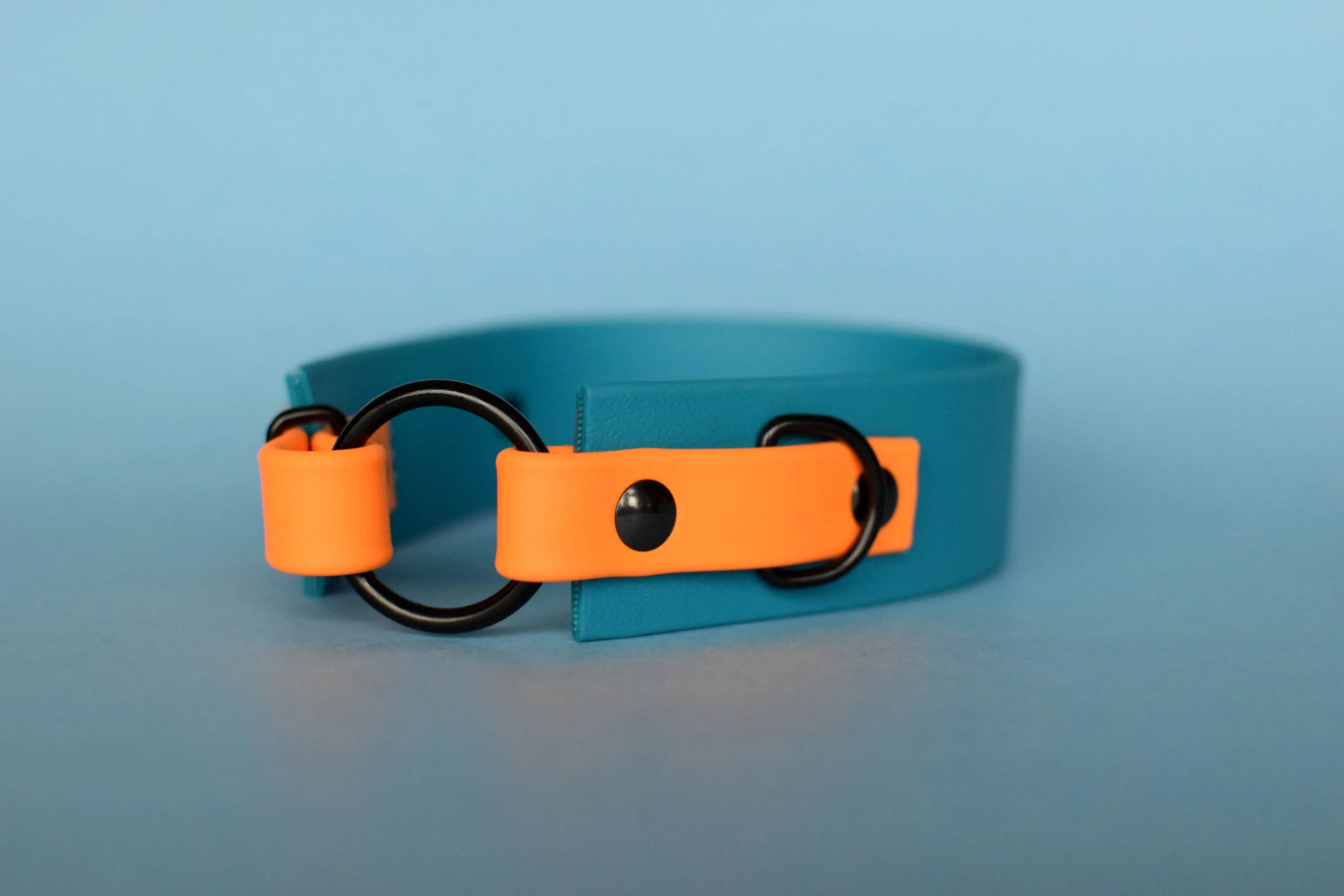 PREMADE COLLECTION - Lagoon & Mango with Black, Osgiliath Biothane Dog Collar