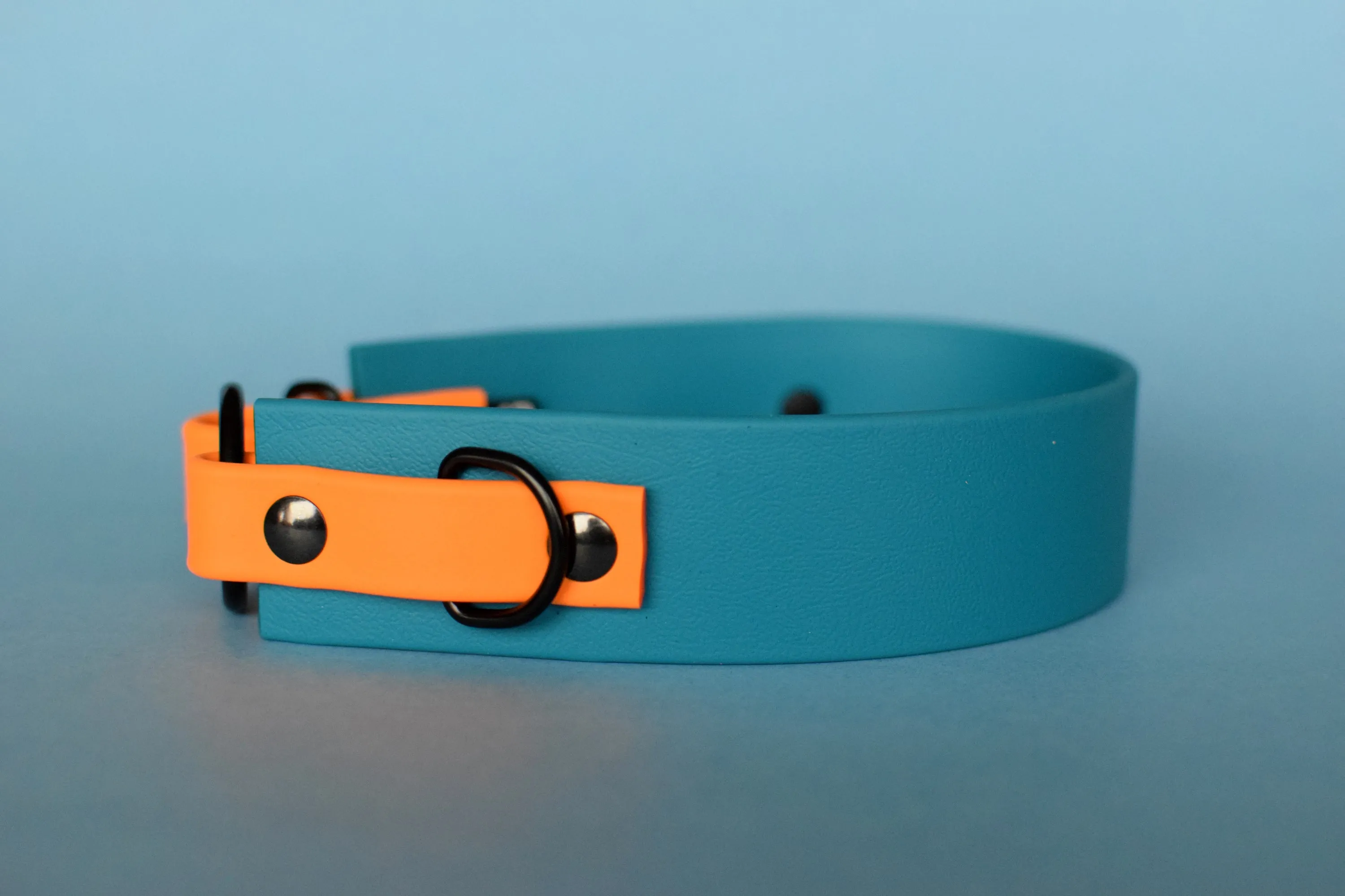 PREMADE COLLECTION - Lagoon & Mango with Black, Osgiliath Biothane Dog Collar