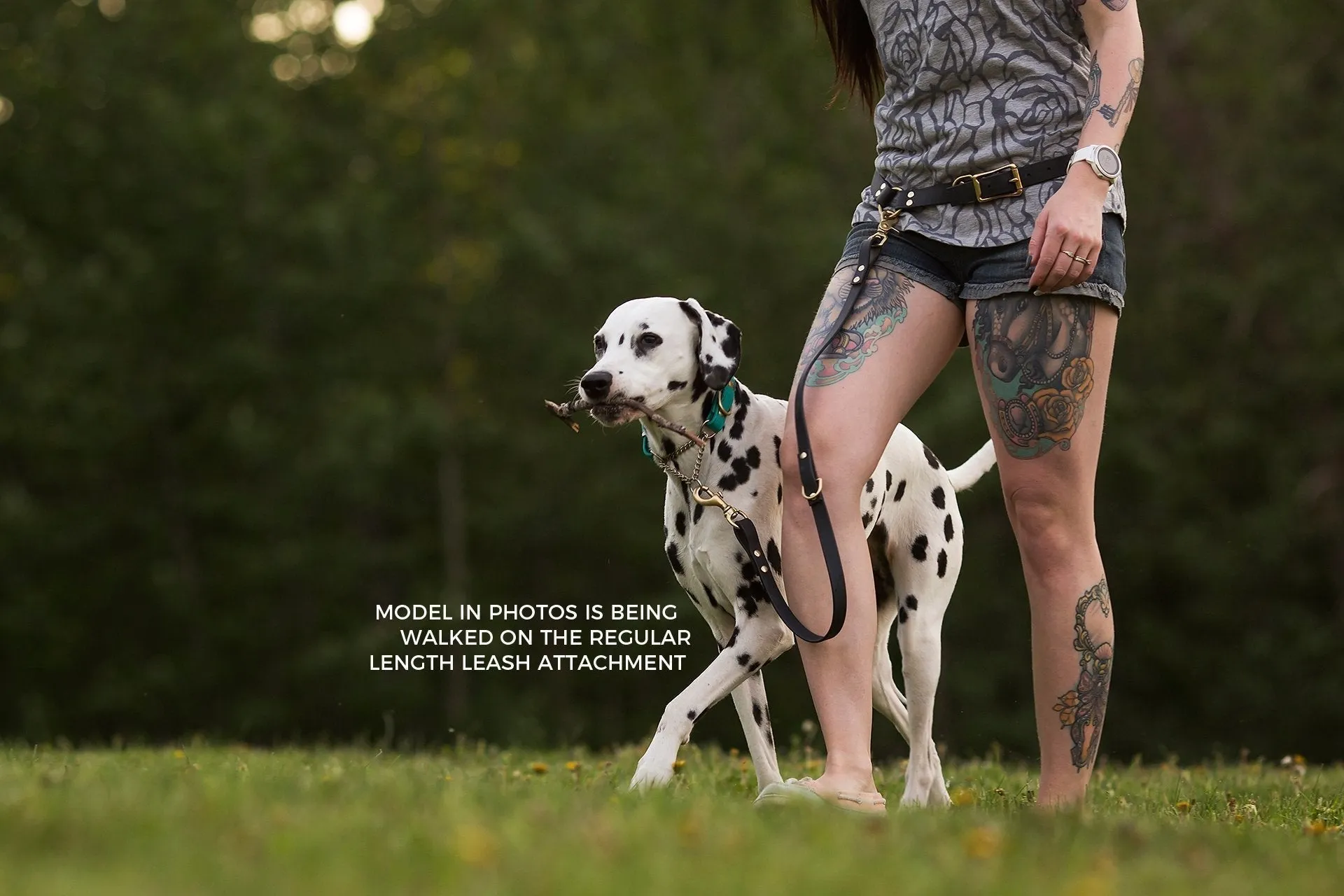 PREMADE COLLECTION - Pastel Purple & Black Convertible Biothane Hands-Free Waist Leash