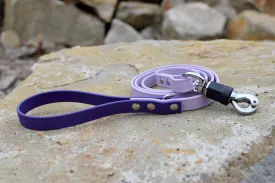 PREMADE COLLECTION - Pastel Purple & Purple Biothane Dog Leash