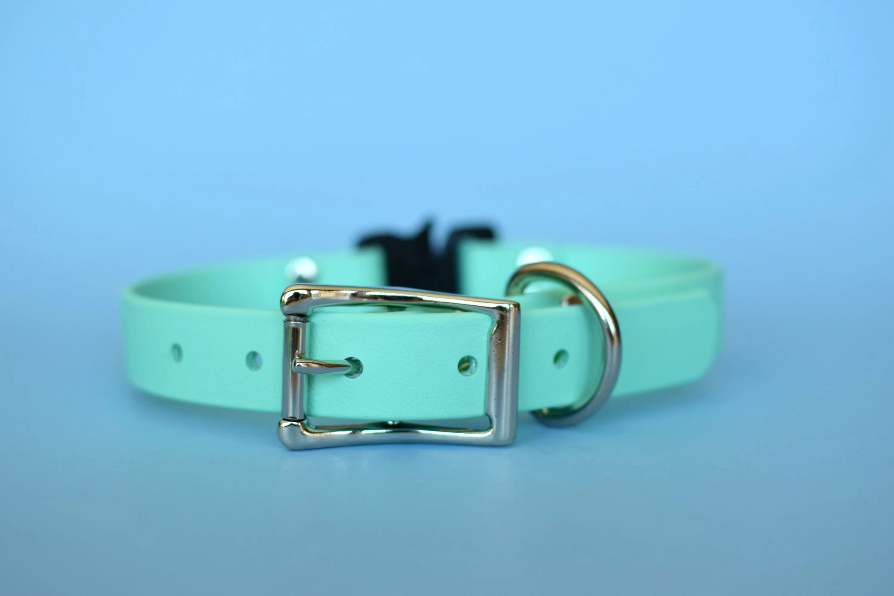 PREMADE COLLECTION - Seafoam & Nickel Biothane Dog Collar