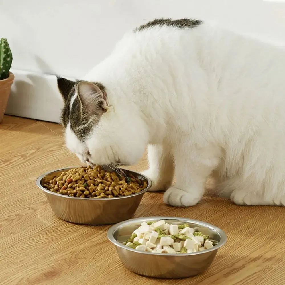 Premium Stainless Steel Pet Bowl for Dogs and Cats