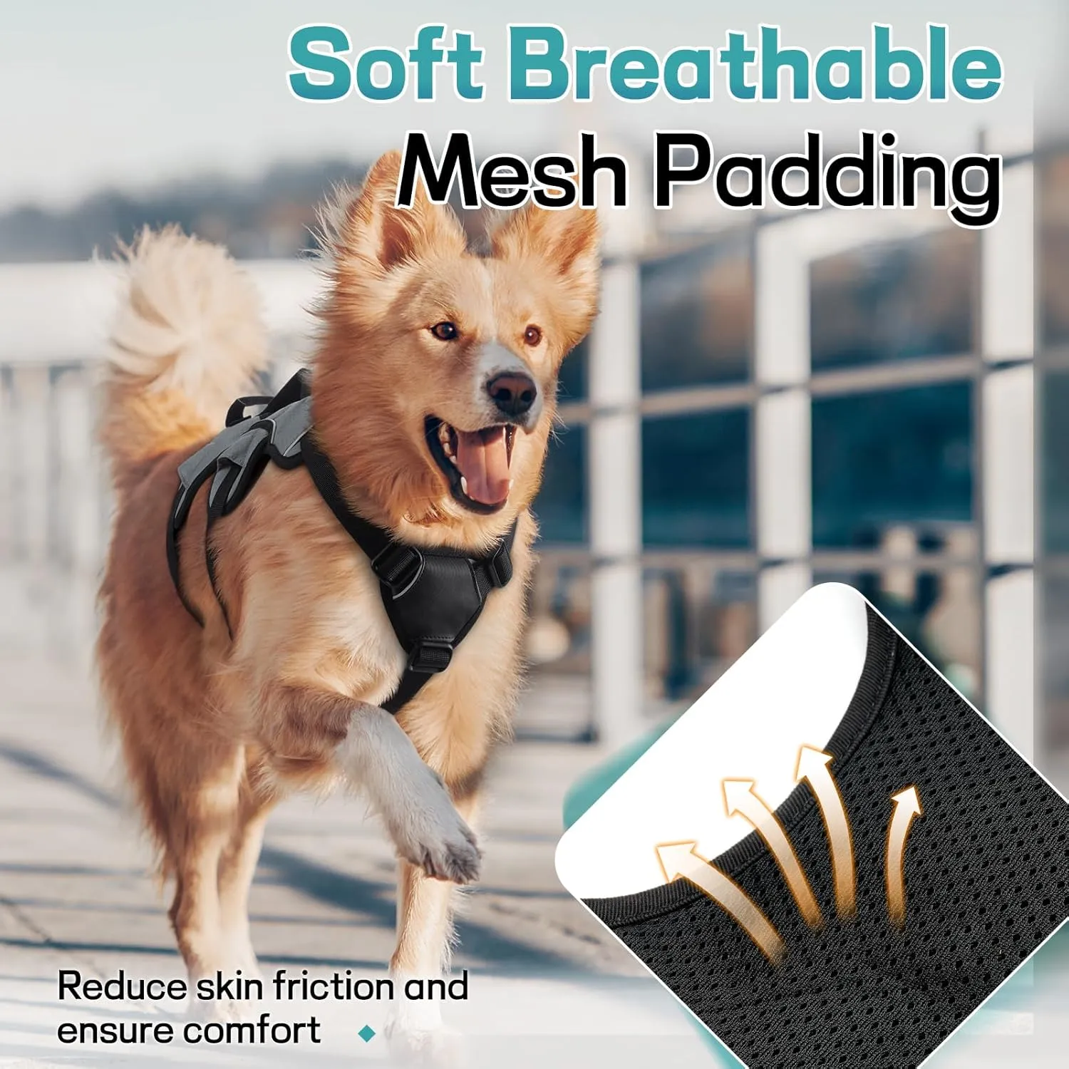 rabbitgoo Escape Proof Dog Harness, Soft Padded Full Body Pet Harness, Reflective Adjustable No Pull Vest with Lift Handle and Leash Clip for Large Dogs Walking Hiking Training, M, Grey