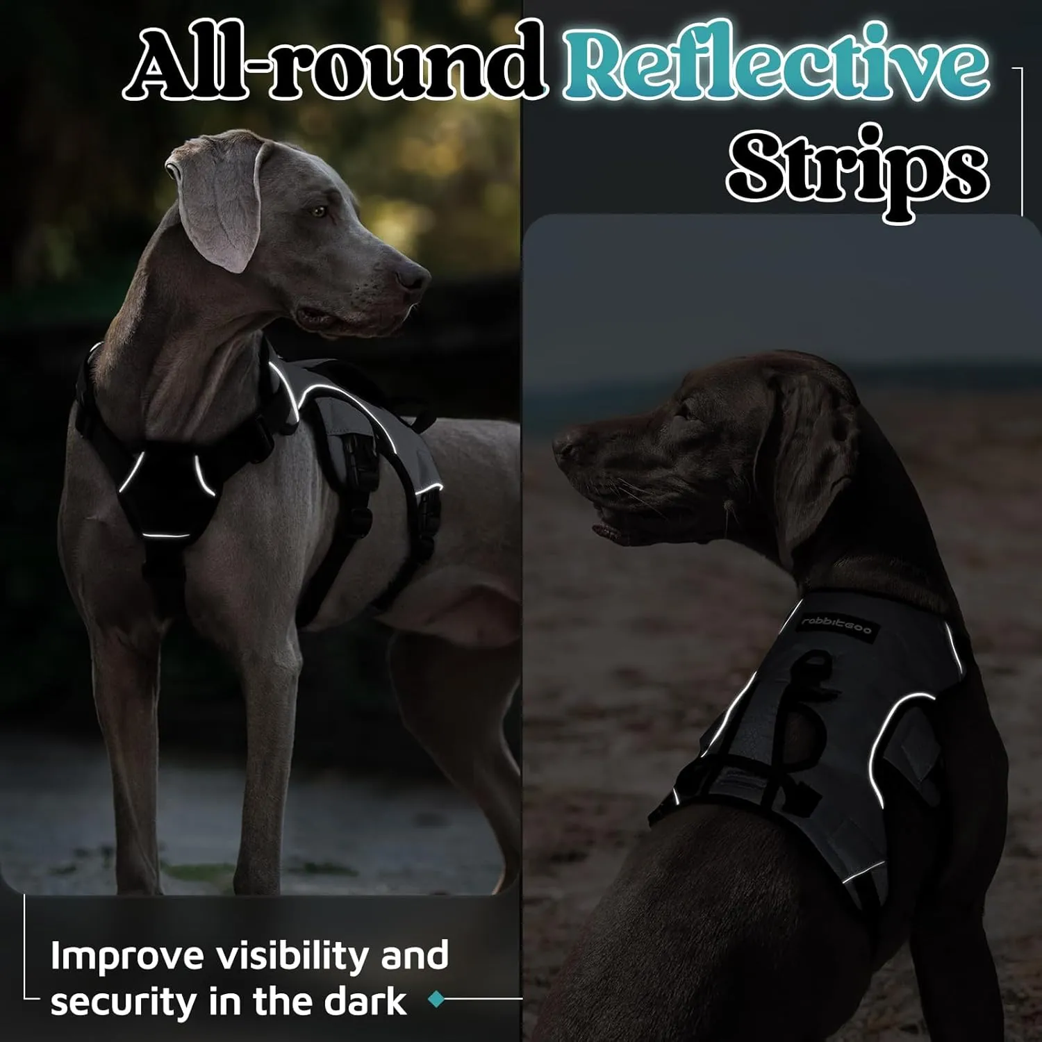 rabbitgoo Escape Proof Dog Harness, Soft Padded Full Body Pet Harness, Reflective Adjustable No Pull Vest with Lift Handle and Leash Clip for Large Dogs Walking Hiking Training, M, Grey