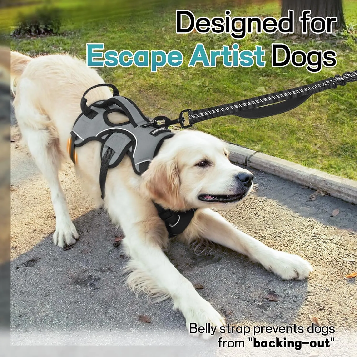 rabbitgoo Escape Proof Dog Harness, Soft Padded Full Body Pet Harness, Reflective Adjustable No Pull Vest with Lift Handle and Leash Clip for Large Dogs Walking Hiking Training, M, Grey