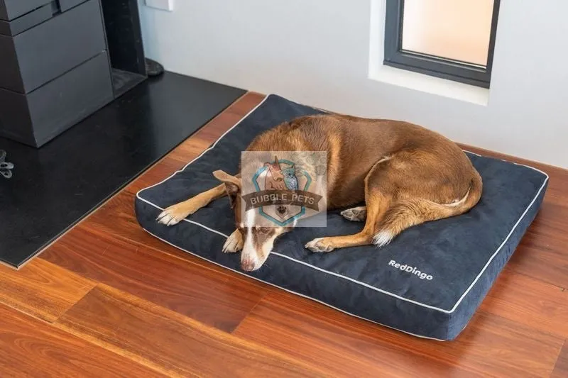 Red Dingo Premium Dog Mattress