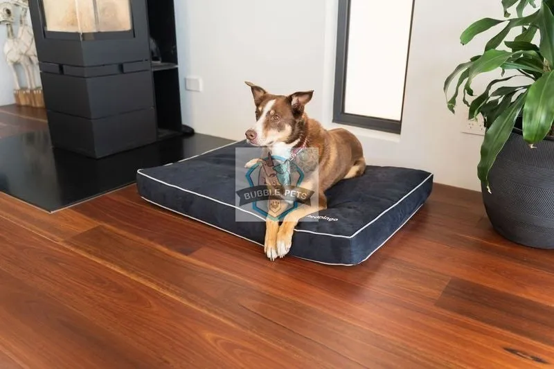 Red Dingo Premium Dog Mattress