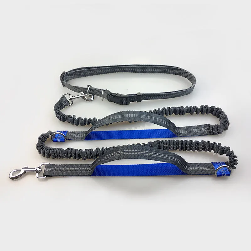 Reflective Dual Handle Elastic Dog Leash for Running - WhiskerShack.com