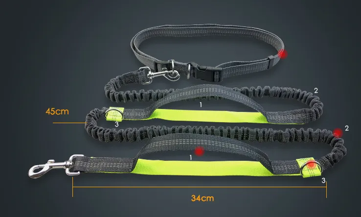 Reflective Dual Handle Elastic Dog Leash for Running - WhiskerShack.com
