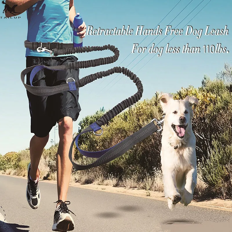 Reflective Dual Handle Elastic Dog Leash for Running - WhiskerShack.com