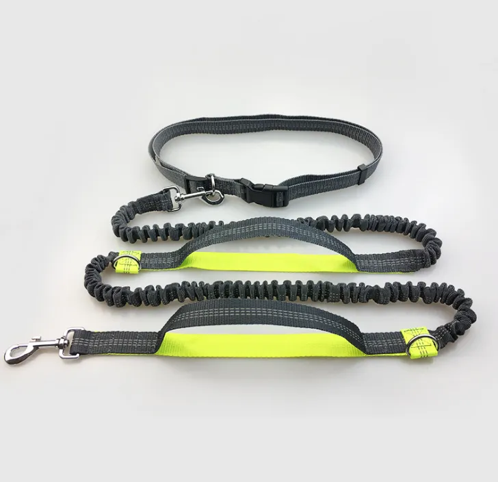 Reflective Dual Handle Elastic Dog Leash for Running - WhiskerShack.com
