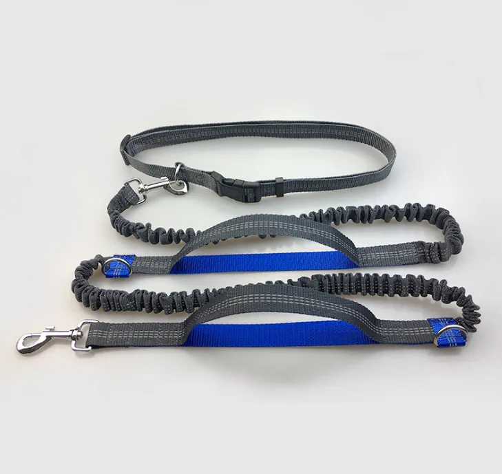 Reflective Dual Handle Elastic Dog Leash for Running - WhiskerShack.com