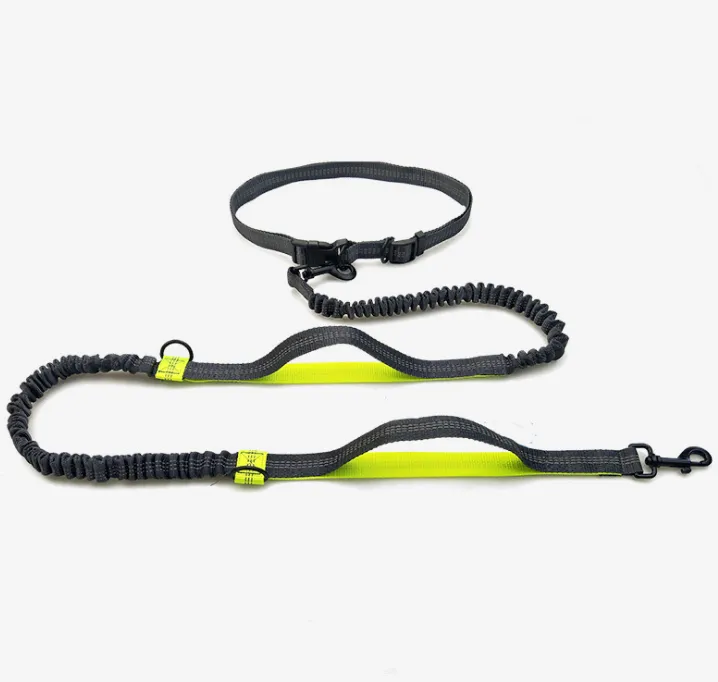 Reflective Dual Handle Elastic Dog Leash for Running - WhiskerShack.com