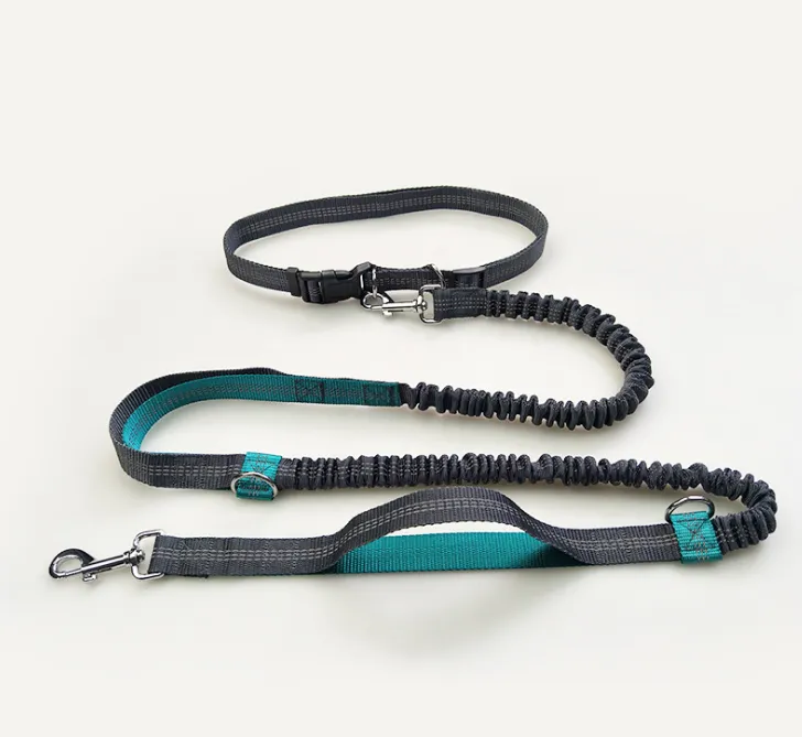 Reflective Dual Handle Elastic Dog Leash for Running - WhiskerShack.com