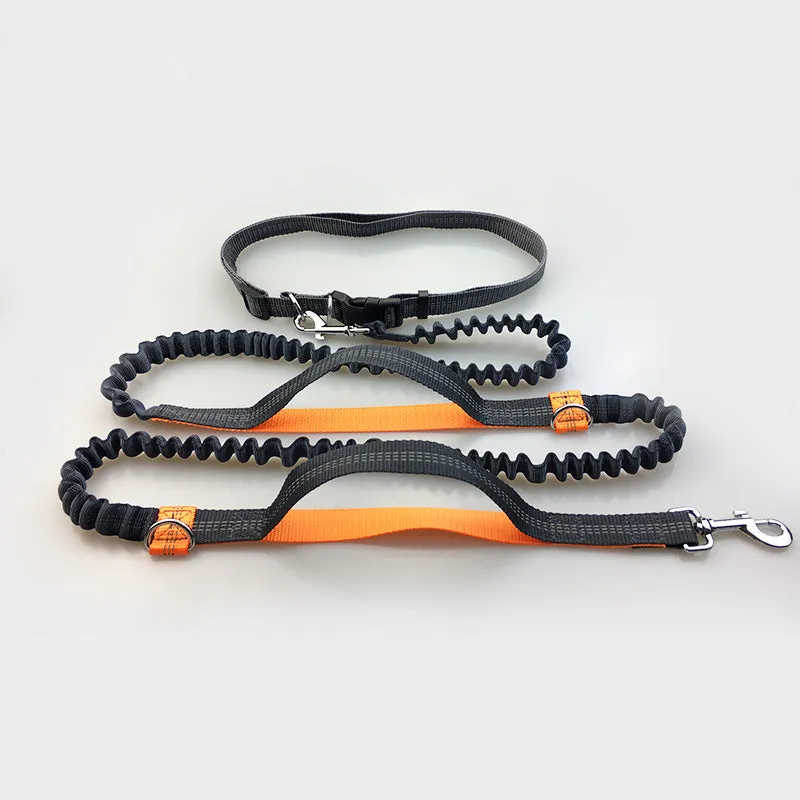 Reflective Dual Handle Elastic Dog Leash for Running - WhiskerShack.com