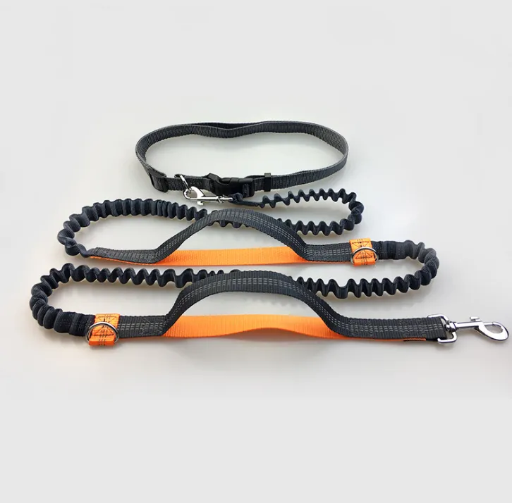 Reflective Dual Handle Elastic Dog Leash for Running - WhiskerShack.com