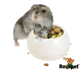 Rodipet Ceramic Bowl