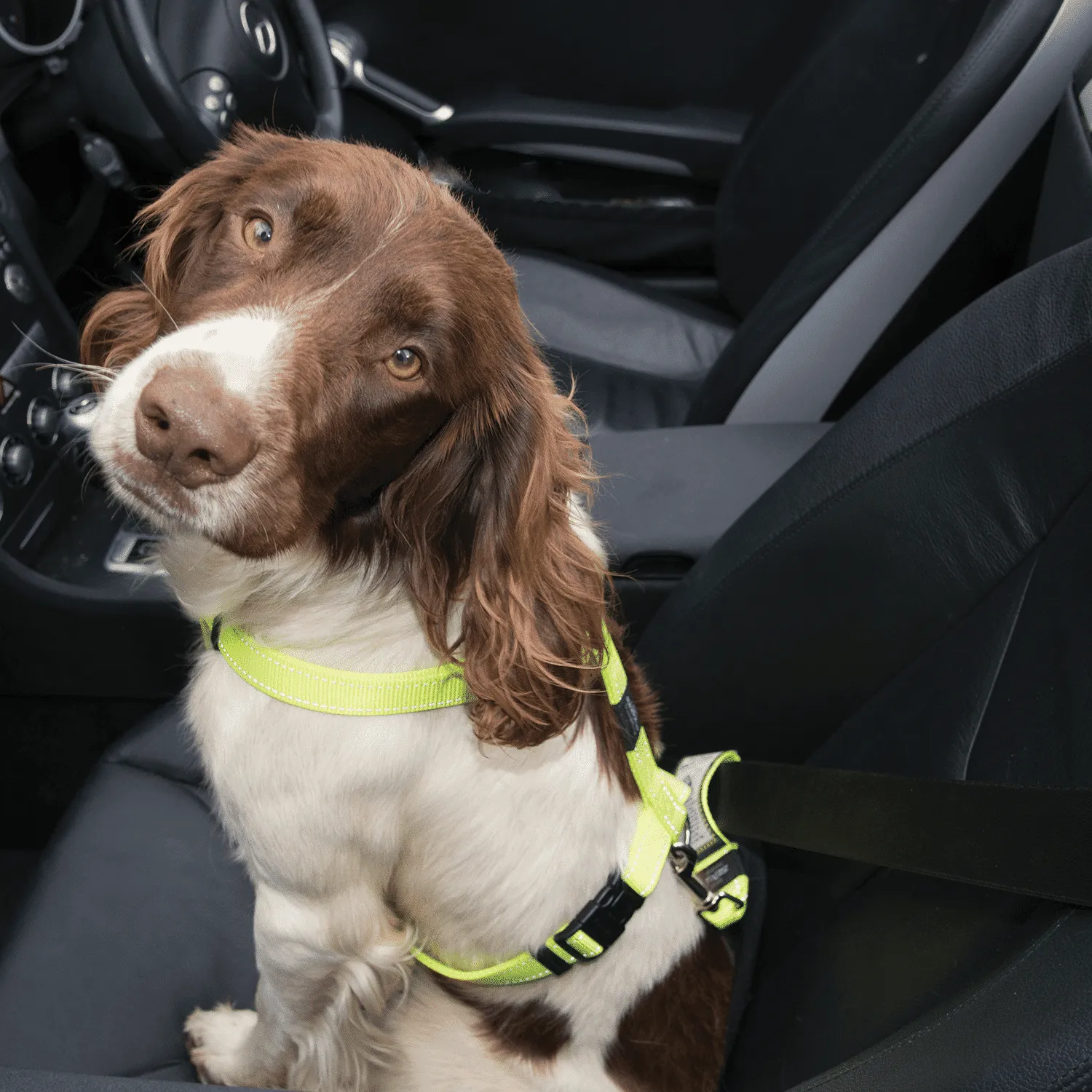 Rogz Utility Car-Safe Safety Belt Clip