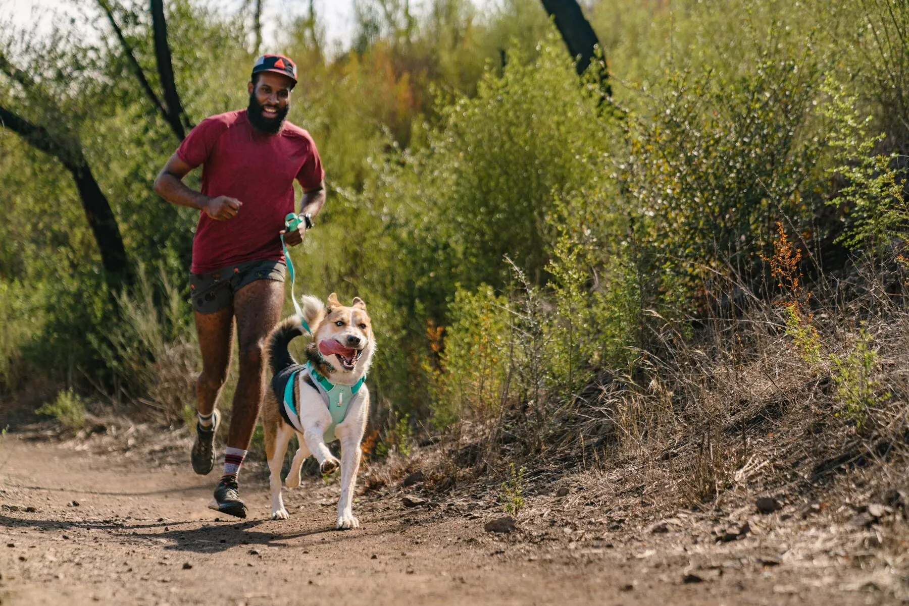 Ruffwear Cooling Dog Vest: Swamp Cooler Zip