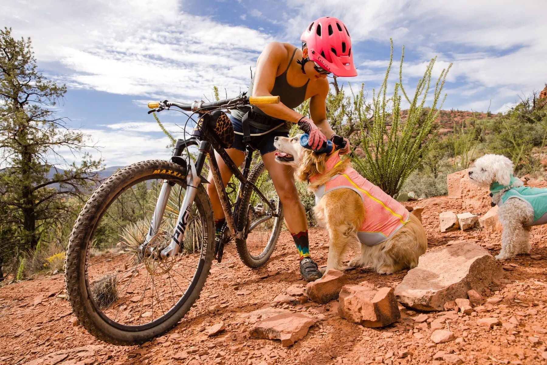 Ruffwear Cooling Dog Vest: Swamp Cooler Zip